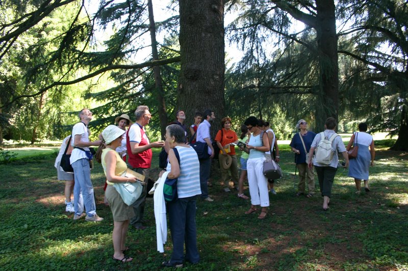 11 villa Giusti (21)
