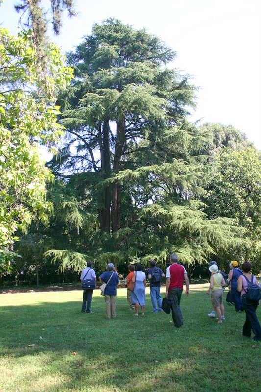 11 villa Giusti (24)