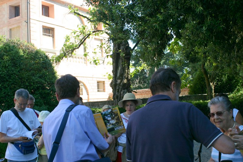 11 villa Giusti (3)