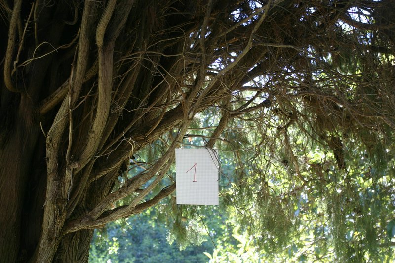 11 villa Giusti (5)