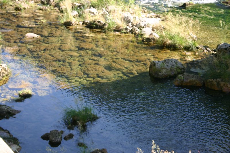 3 Oliero (4)