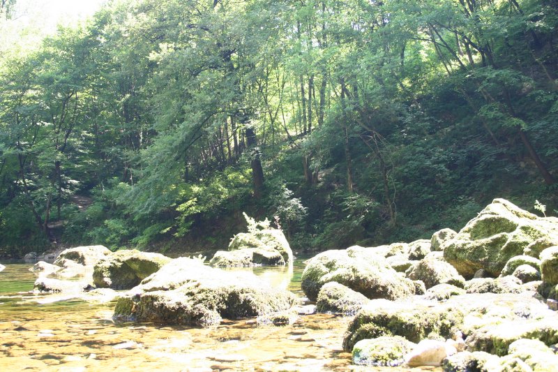 3 Oliero (43)