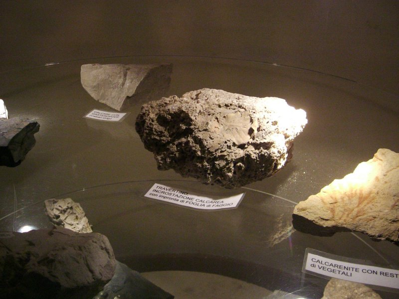 4 Oliero museo (4)
