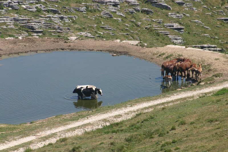 5 monte Corno (10)