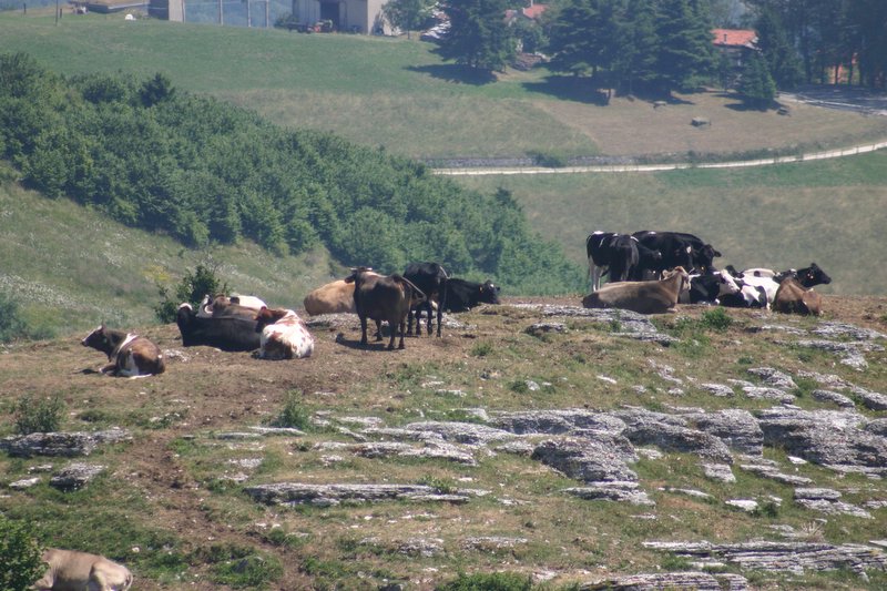 5 monte Corno (11)