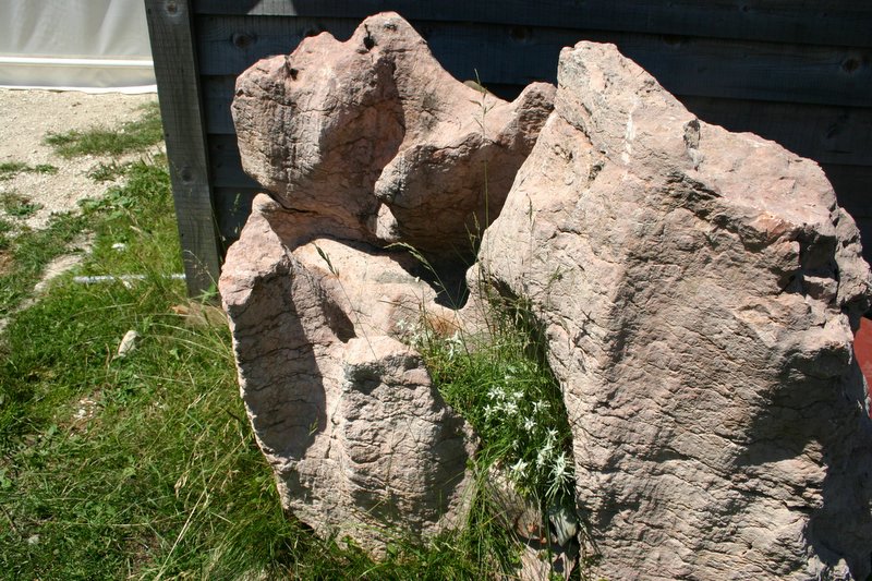 5 monte Corno (3)