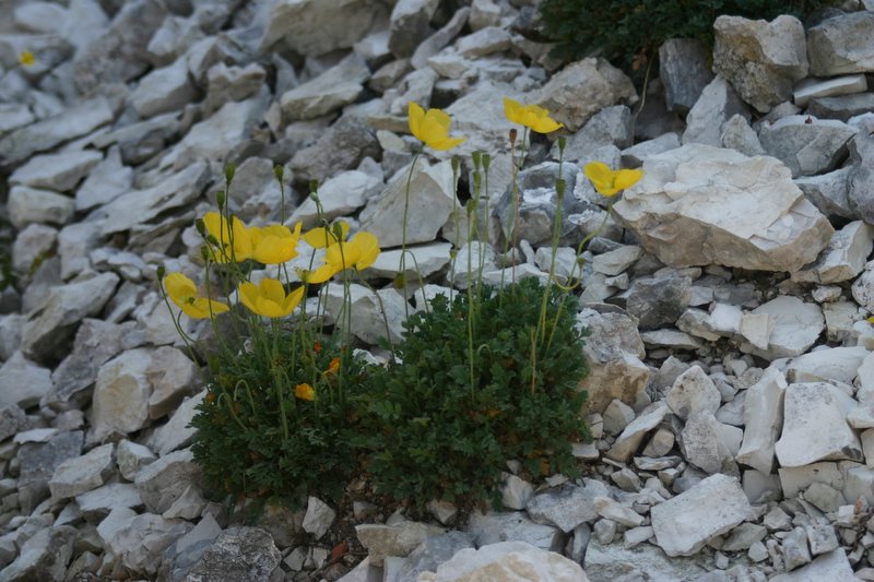 5 monte Corno (38)