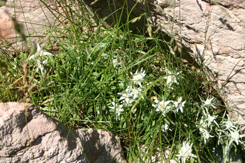 5 monte Corno (4)