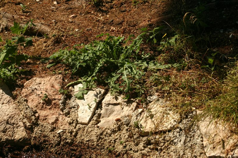 5 monte Corno (48)