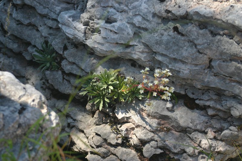 5 monte Corno (61)