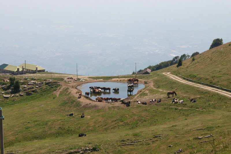 5 monte Corno (7)