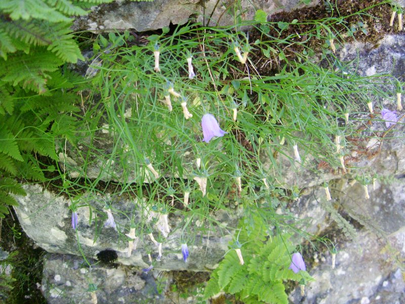 6 monte Corno cimitero (7)