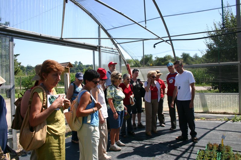 8 Vivaio Venetoagricoltura (1)