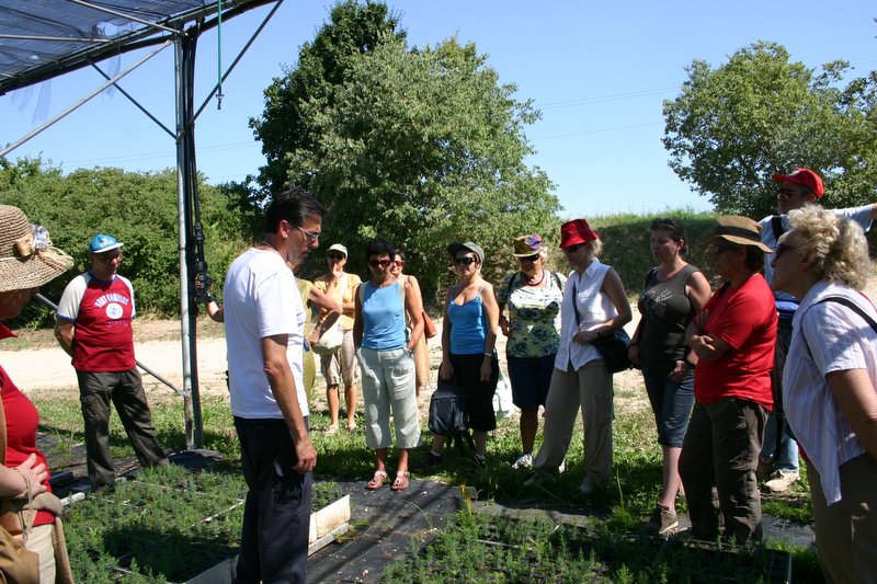 8 Vivaio Venetoagricoltura (13)