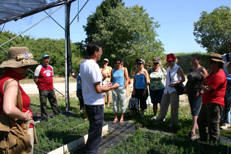 8 Vivaio Venetoagricoltura (14)