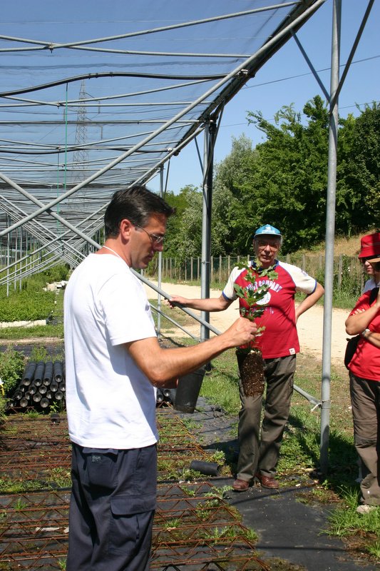 8 Vivaio Venetoagricoltura (16)