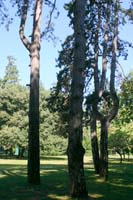 11 villa Giusti (10)