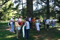 11 villa Giusti (21)