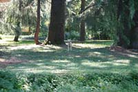 11 villa Giusti (25)