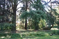 11 villa Giusti (26)