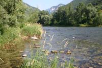 2 Brenta (10)
