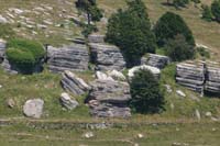 5 monte Corno (12)