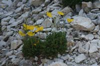 5 monte Corno (38)