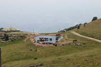 5 monte Corno (7)