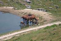 5 monte Corno (9)