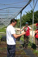 8 Vivaio Venetoagricoltura (16)