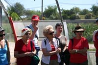 8 Vivaio Venetoagricoltura (6)