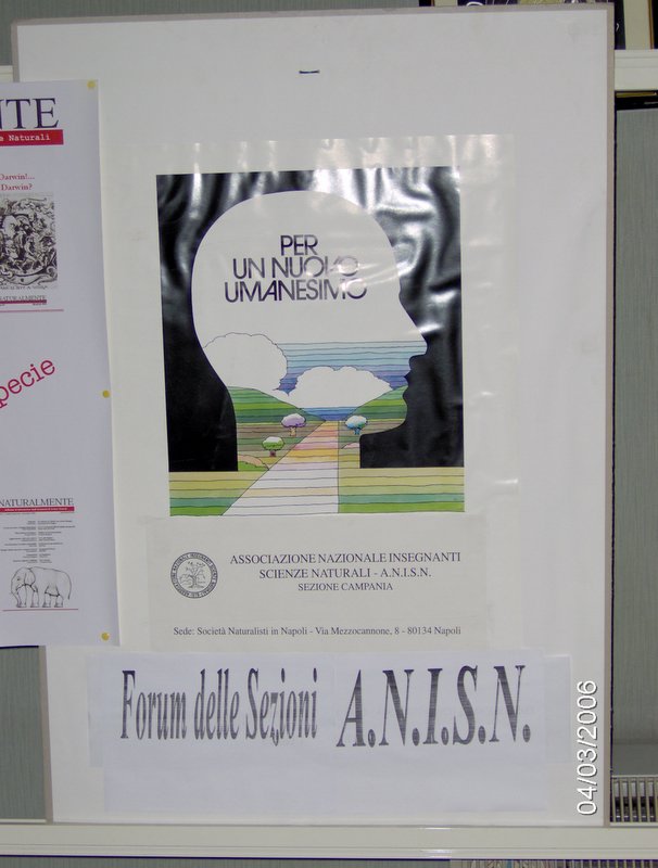 Arco felice (23)