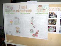 Arco felice (01)