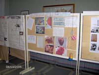 Arco felice (04)