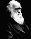 Darwin.jpg (11281 byte)