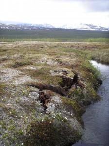 Il permafrost presso la torbiera di Storflaket, presso Abiskos nel nord della Svezia, mostra segni di frattura ai bordi a causa dello scongelamento