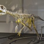 Dinosauri ed educazione scientifica